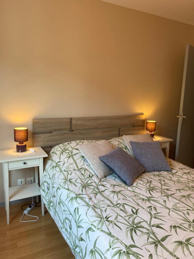 Parking Prive Gratuit, Balcon, 2 Chambres 클레르몽페랑 외부 사진